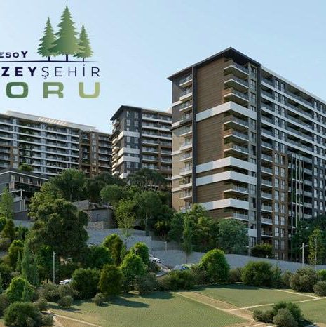 Vaki Koru - beton silim