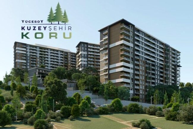 Vaki Koru - beton silim